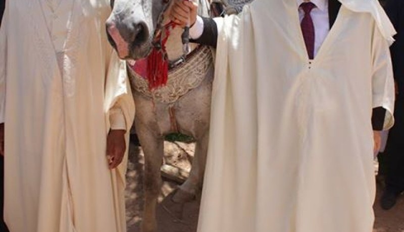 غول يقلّد حداد