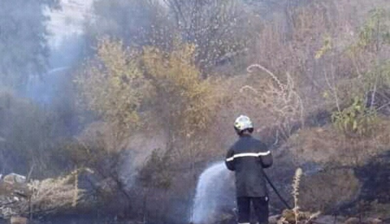 الشلف: إندلاع حريق مهول بمستثمرة فلاحية في دوار الشعابية ببلدية تاوقريت