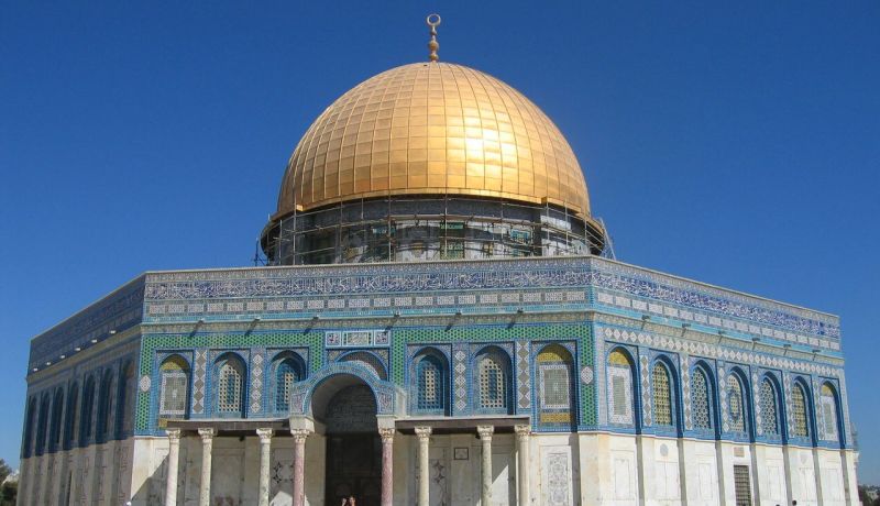 عشرات المؤيدين للفلسطينيين يتوجهون من جنيف الى الاراضي الفلسطينية