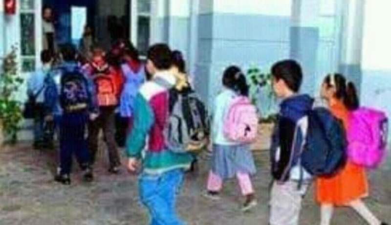 الشلف: إصابة 3 تلميذات بجروح دهستهن سيارة بحي الشرفة