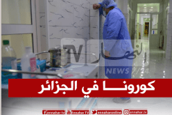 صفر حالة في 26 ولاية وتراجع في عدد الإصابات