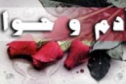 زواج 82 شخص من ضمن 5 آلاف عرض بفضل ركن آدم وحواء