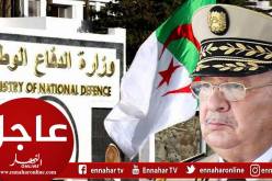 ڨايد صالح : البيان المنسوب لرئيس الجمهورية غير دستوري