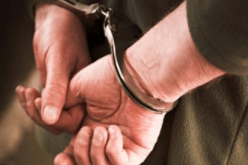 ايقاف شخصين بتهمة سرقة المواشي في عين الصفراء