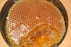 حجز بتلمسان أكثر من 3 قناطير من مادة المعسل موجهة لتدخين “النرجيلة” قادمة من المغرب