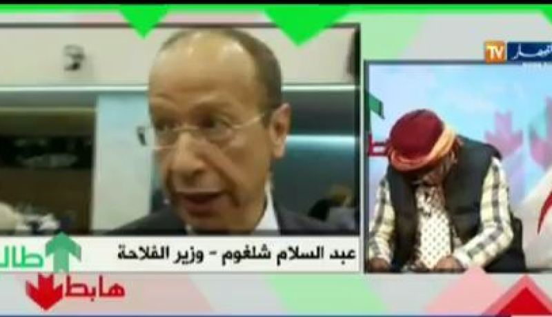 بالفيديو.. الشيخ النوي عبد السلام شلغوم طالع