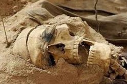 العثور على جمجمة تعود إلى 55 ألف سنة في أحد الكهوف الفلسطينية