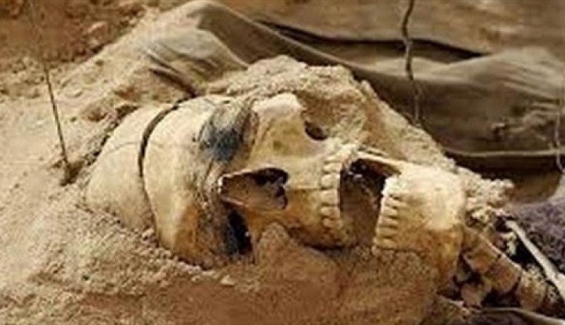 العثور على جمجمة تعود إلى 55 ألف سنة في أحد الكهوف الفلسطينية