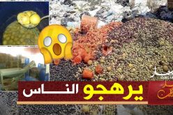 الطارف: حجز 6 قناطير من الزيتون فاسد ببوحجار