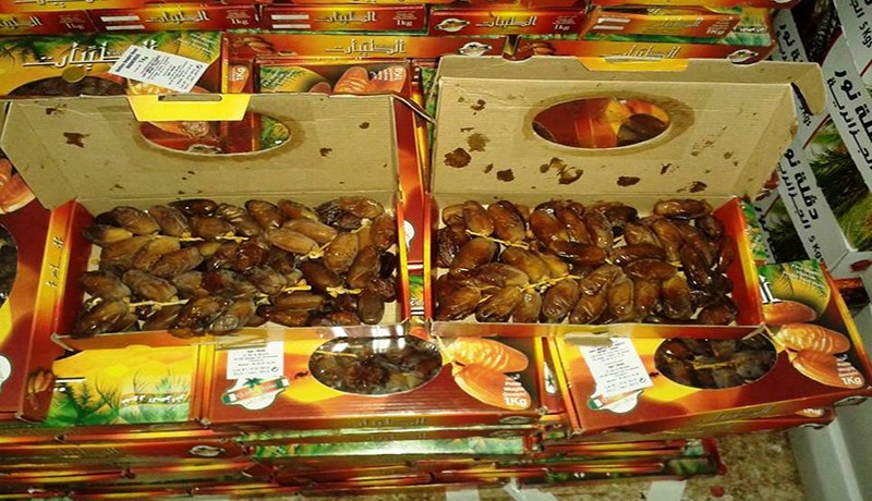 دڤلة نور الجزائرية.. في إسرائيل
