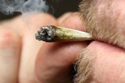 نسبة تعاطي الماريخوانا بين طلاب الجامعات الأمريكية الأعلى منذ 35 عاما