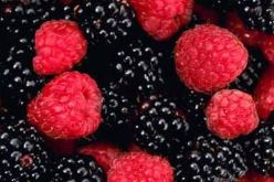 تعرف على ريجيم التوت في رمضان