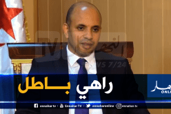 برناوي: “التذاكر في الملاعب الجزائرية تباع بثمن رمزي”
