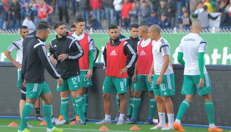 الفاف تحجز طائرة خاصة لنقل الخضر إلى تانزانيا بـ4 ملايير و300 مليون سنتيم