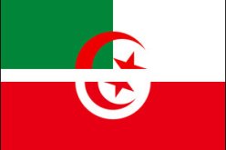 وزير الخارجية التونسي يشيد بدعم الجزائر المادي والمعنوي لثورة الياسمين