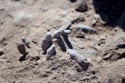 وكالة روسية تنقل شهادات مروعة لناج من داعش في الموصل