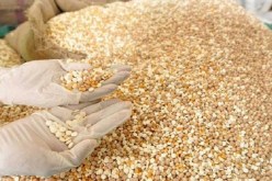 ضبط 5 ملايين قرص مخدر في السعودية