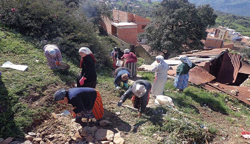 خذوا العبرة من  فحلات  تيزي وزو