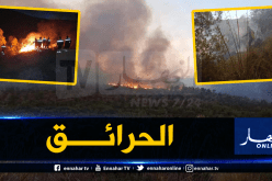 الحرائق تتلف 213 هكتار غابات ومحاصيل زراعية في معسكر