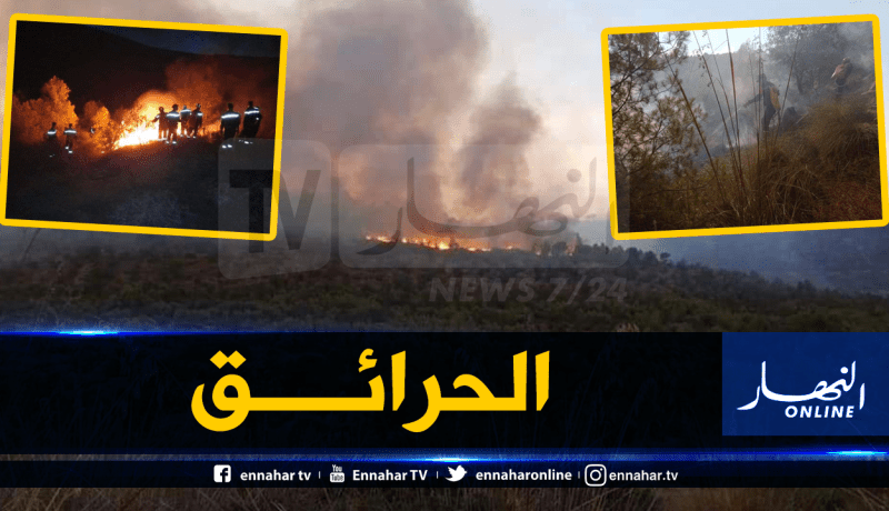 الحرائق تتلف 213 هكتار غابات ومحاصيل زراعية في معسكر