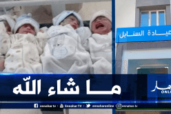 سيدة تُرزق بأربعة مواليد بعدما عجزت عن الإنجاب 5 سنوات كاملة