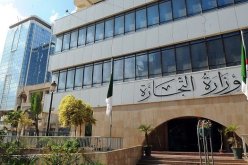 وزارة التجارة: 99.99 بالمائة نسبة المدوامة في أوّل أيام العيد