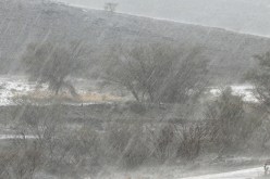 نشرية خاصة تحذر من أمطار غزيرة في تندوف وجنوب أدرار