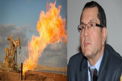 بوطرفة .. الجزائر طرف فاعل وهام في السوق الدولية للطاقة