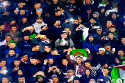 بالصور .. الجمهور يصنع الفرجة في مدرجات الشهيد حملاوي  