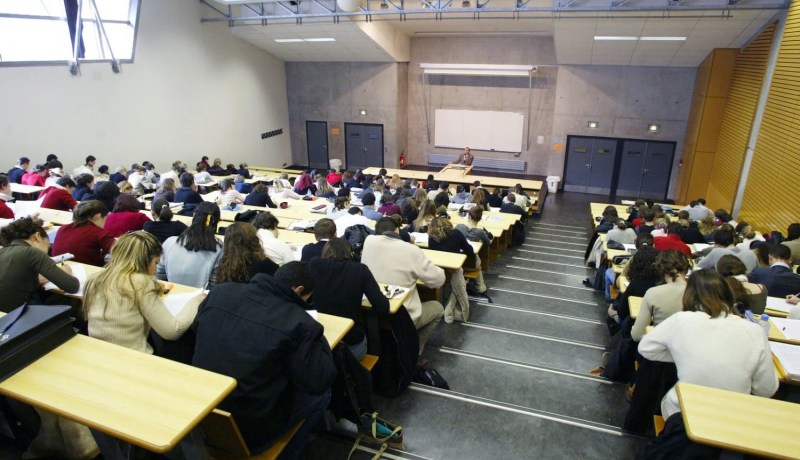 التخصصات الجامعية وفق احتياجات الدولة الاقتصادية مستقبلا