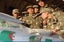 وصول طائرة المساعدات الإنسانية الجزائرية لأهالي غزة إلى مطار العريش المصري