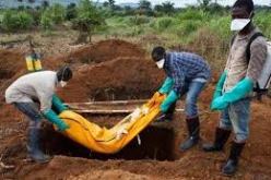 منذ 30 عام الطاعون يهاجم مدغشقر 6 اشهر سنوياً