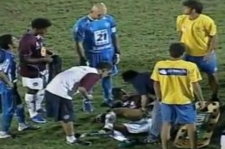 كلب بوليسي يعض لاعباً في الدوري البرازيلي