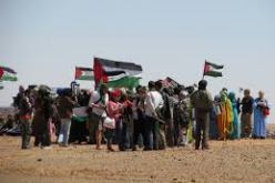 وفد برلماني جزائري في زيارة تضامنية إلى مخيمات اللاجئين الصحراويين