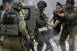 الاحتلال الصهيوني يعتدي بالضرب على 3 فلسطينيين من بينهم مسنة في الخليل