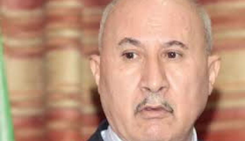 وزير الفلاحة يصرح أن الجزائر لها خصوصياتها في بناء المغرب العربي الكبير