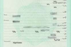 وزارة الداخلية: عقد الميلاد الخاص رقم 12-خ يستخرج لدى أي بلدية من بلديات التراب الوطني