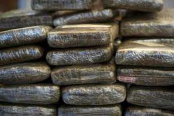 بارون تهريب المتفجرات «الأعور» وراء تمرير 3 قناطير من «الكيف» إلى عين الدفلى!