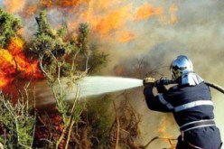 مجهولون يضرمون النار في عجلات مطاطية و يتسببون في حريق غابي مهول بتلمسان