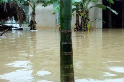 هلاك 13 شخصا على الأقل بسبب الفيضانات في الفيتنام