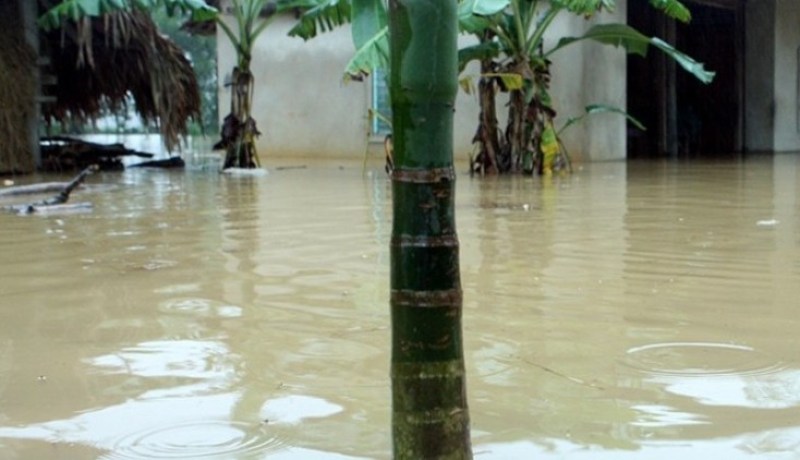 هلاك 13 شخصا على الأقل بسبب الفيضانات في الفيتنام