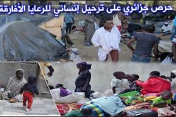 “بن حبيلس”: “الجزائر رحّلت 997 مهاجر نيجري”