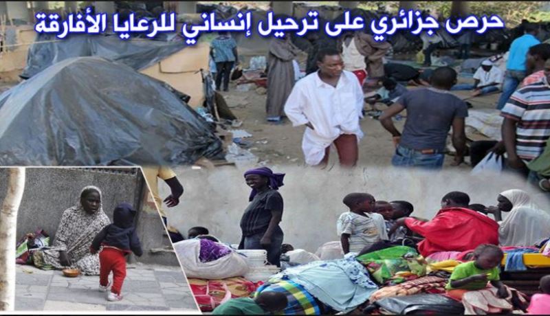 “بن حبيلس”: “الجزائر رحّلت 997 مهاجر نيجري”