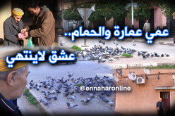 بالصور..  حكاية عشق تمتد لـ 66 سنة بطلها “عمي عمارة ” 