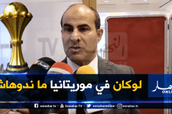 مدوار: “زطشي وفر كل الإمكانيات لضمان نجاح بلماضي مع الخضر”