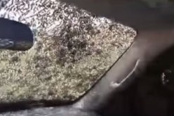 بالفيديو انقلاب شاحنة محملة بصناديق نحل