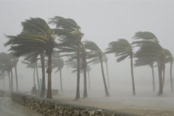 أمطار ورياح قوية بداية من هذا الاثنين بالولايات الشمالية