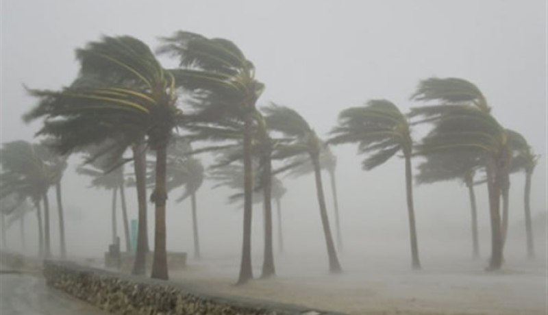 أمطار ورياح قوية بداية من هذا الاثنين بالولايات الشمالية