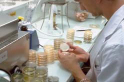 الجزائر اعدت استراتيجيتها الوطنية للقضاء على انتقال فيروس السيدا من الام الى الطفل