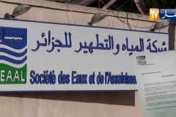 انفراد: مدير “سيال” يكشف سرقات بالمليارات منذ 2008